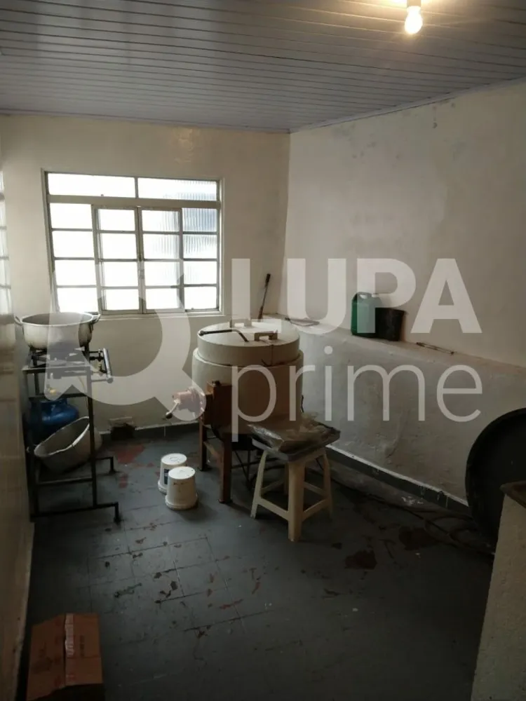 Casa, 4 quartos, 120 m² - Foto 12