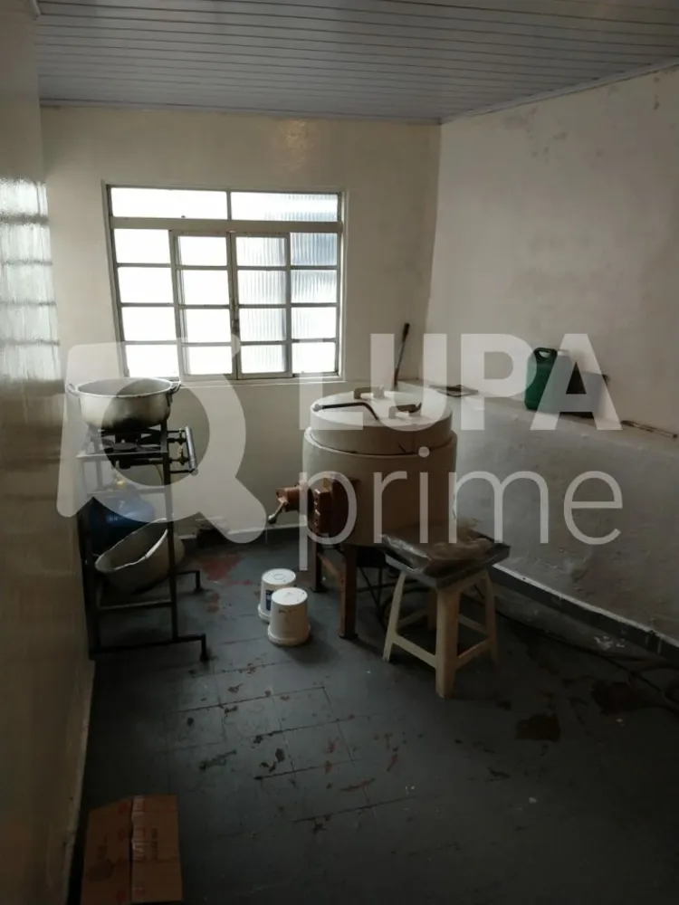 Casa, 4 quartos, 120 m² - Foto 7