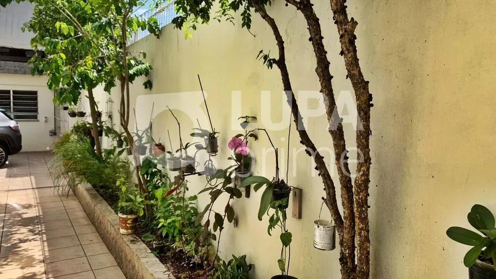 Casa, 3 quartos, 203 m² - Foto 4