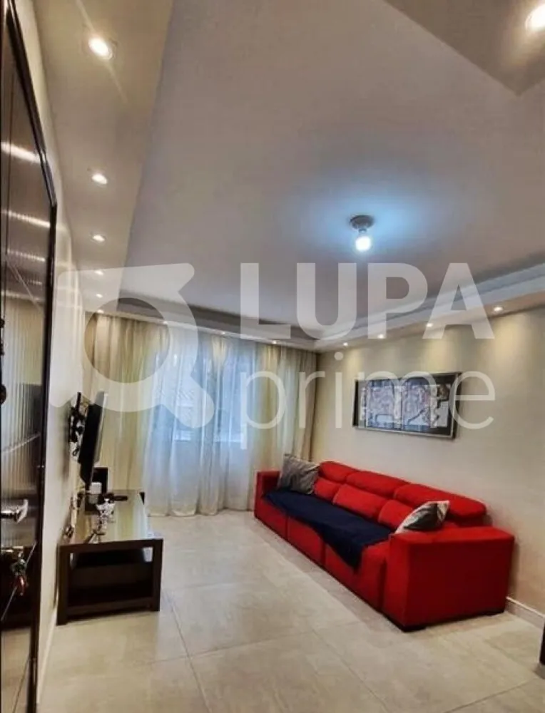 Casa, 4 quartos, 130 m² - Foto 15