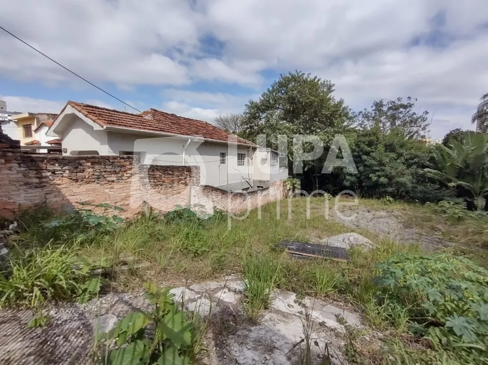 Terreno, 625 m² - Foto 12