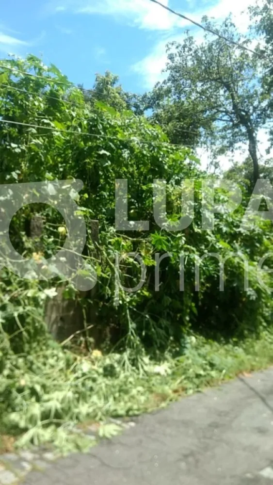 Terreno, 300 m² - Foto 8