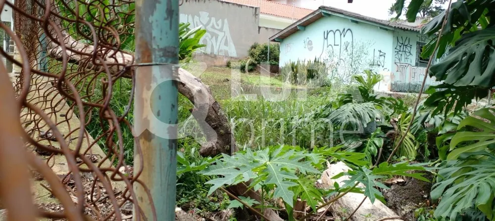 Terreno, 1600 m² - Foto 1