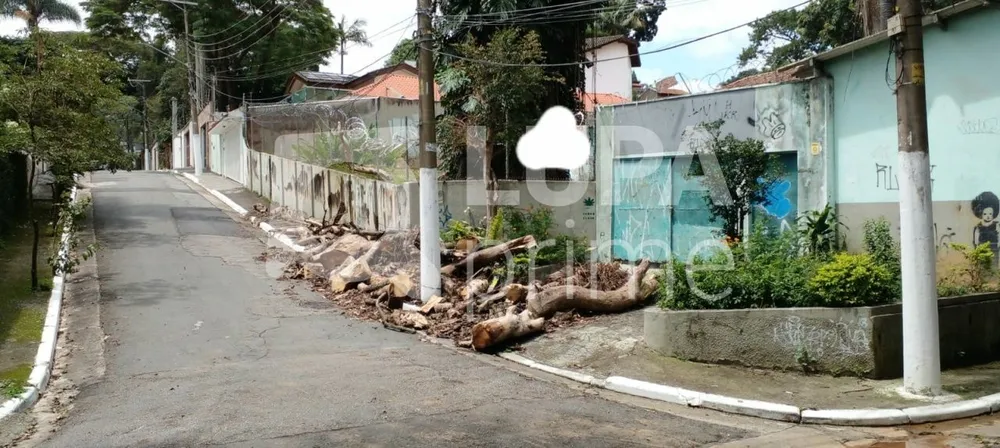 Terreno, 1600 m² - Foto 9