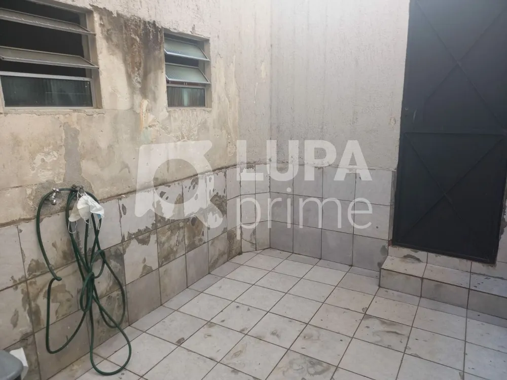 Casa, 3 quartos, 283 m² - Foto 7