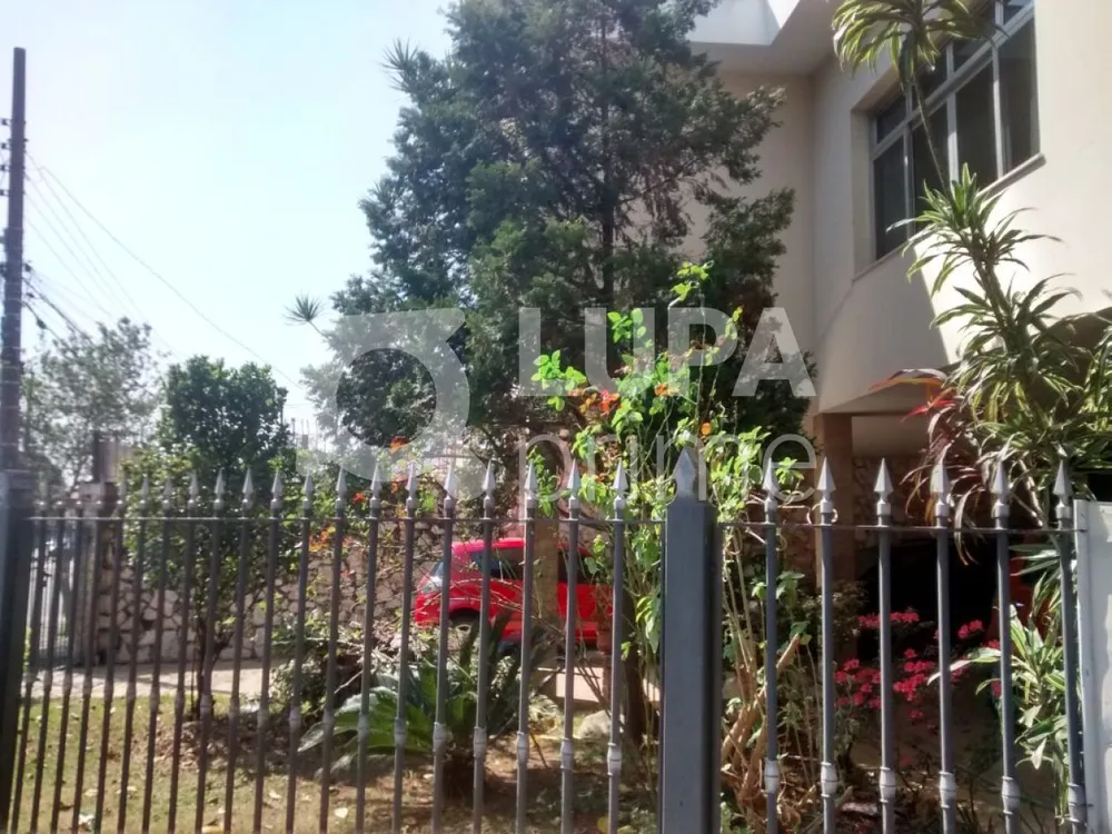 Casa, 3 quartos, 341 m² - Foto 10