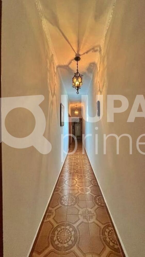 Casa, 4 quartos, 225 m² - Foto 4