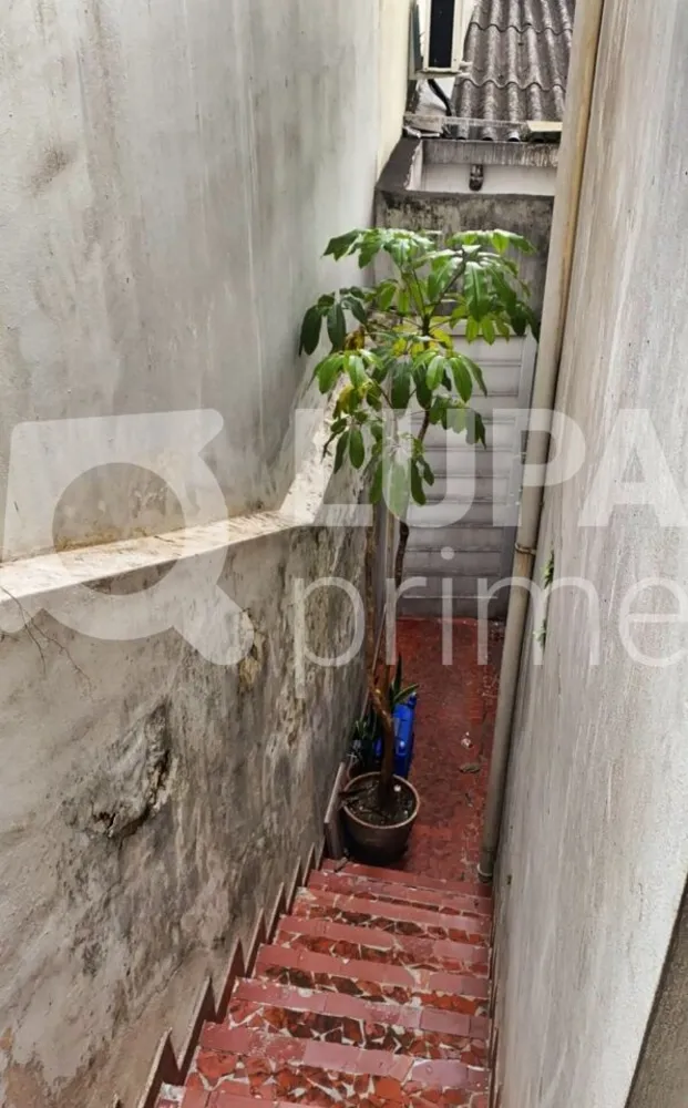 Casa, 3 quartos, 300 m² - Foto 12