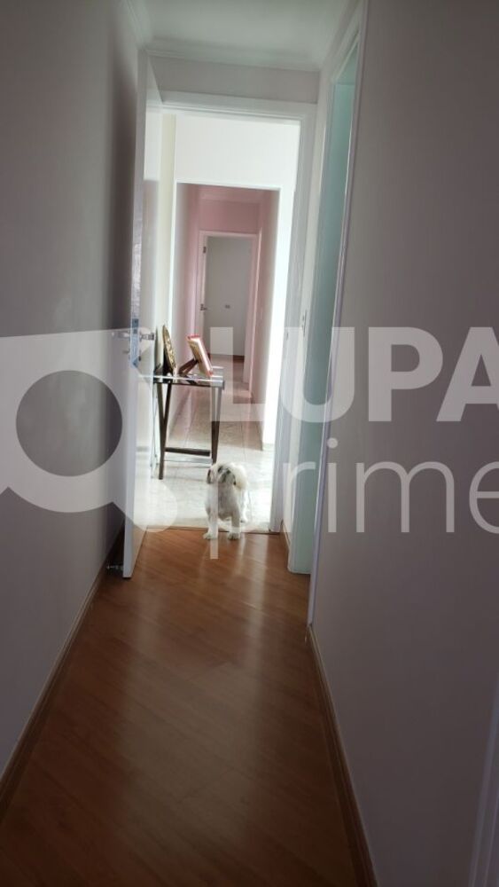 Casa, 3 quartos, 212 m² - Foto 9