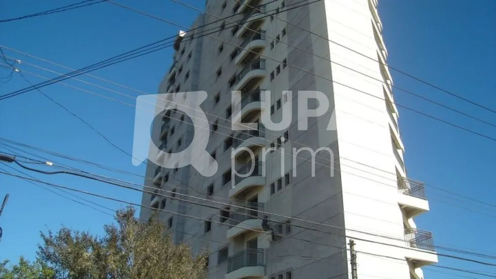 Apartamento, 3 quartos, 145 m² - Foto 6