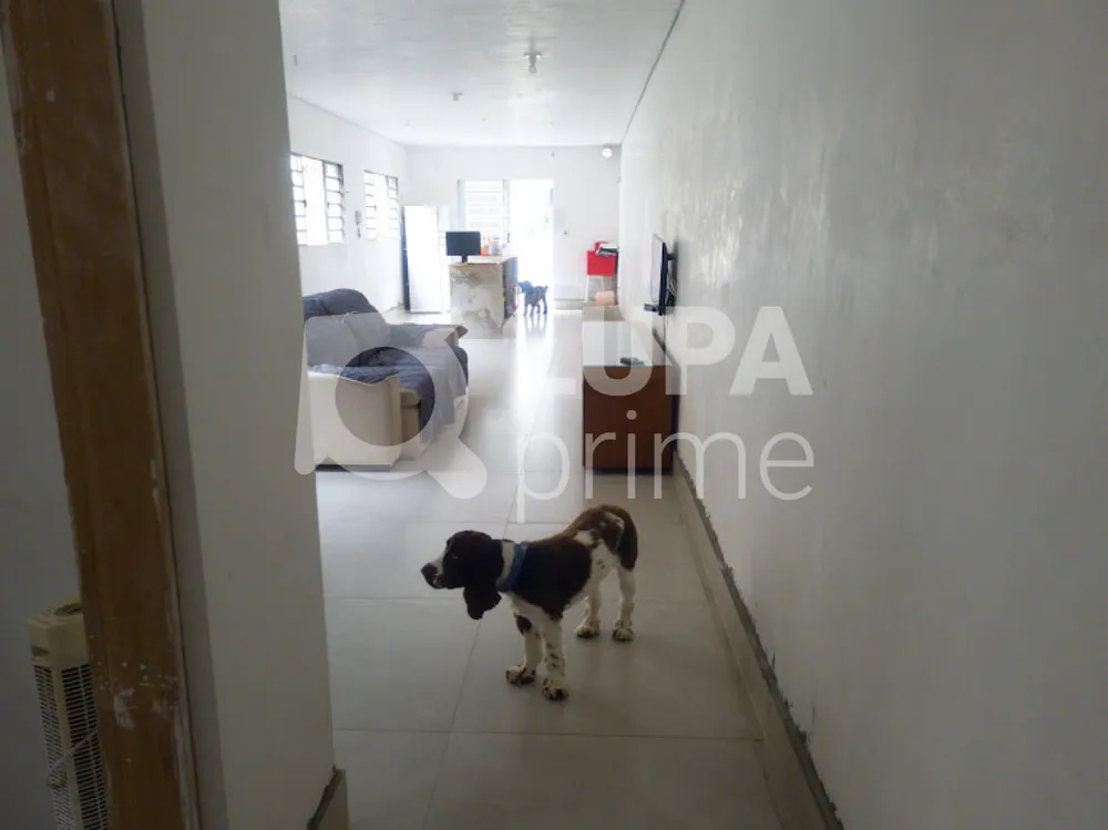 Casa, 3 quartos, 131 m² - Foto 11