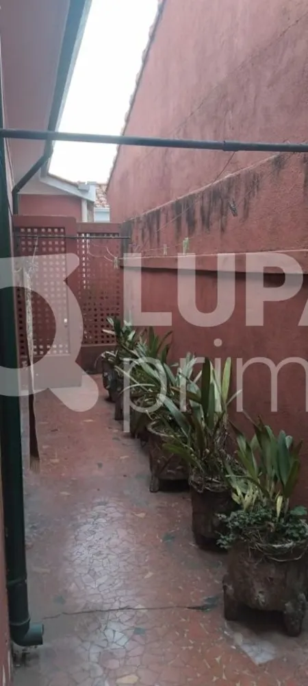 Casa, 2 quartos, 250 m² - Foto 6