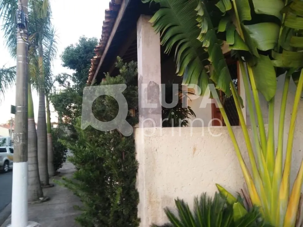 Terreno, 1000 m² - Foto 6
