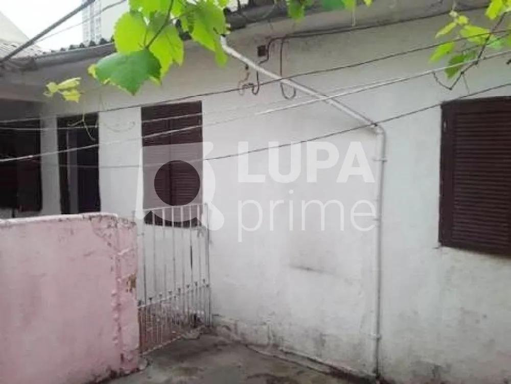 Casa, 4 quartos, 245 m² - Foto 4