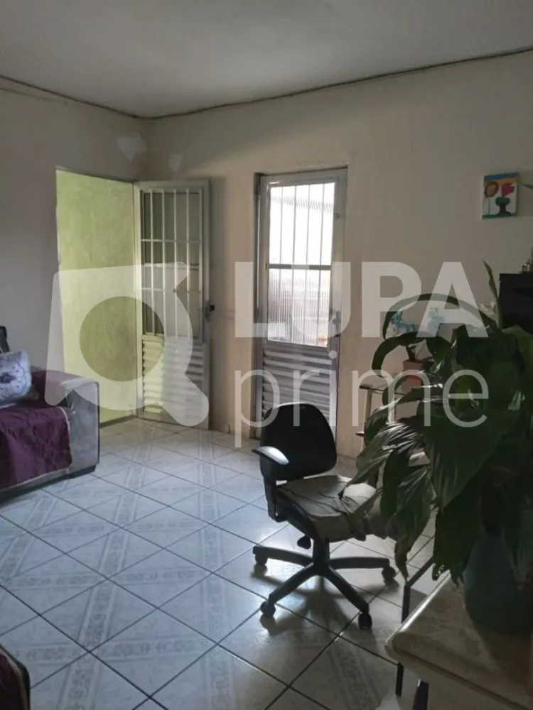Casa, 7 quartos, 175 m² - Foto 6
