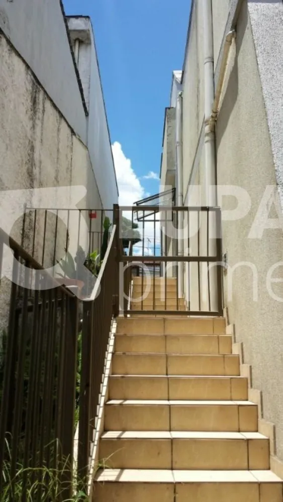 Casa, 5 quartos, 326 m² - Foto 3