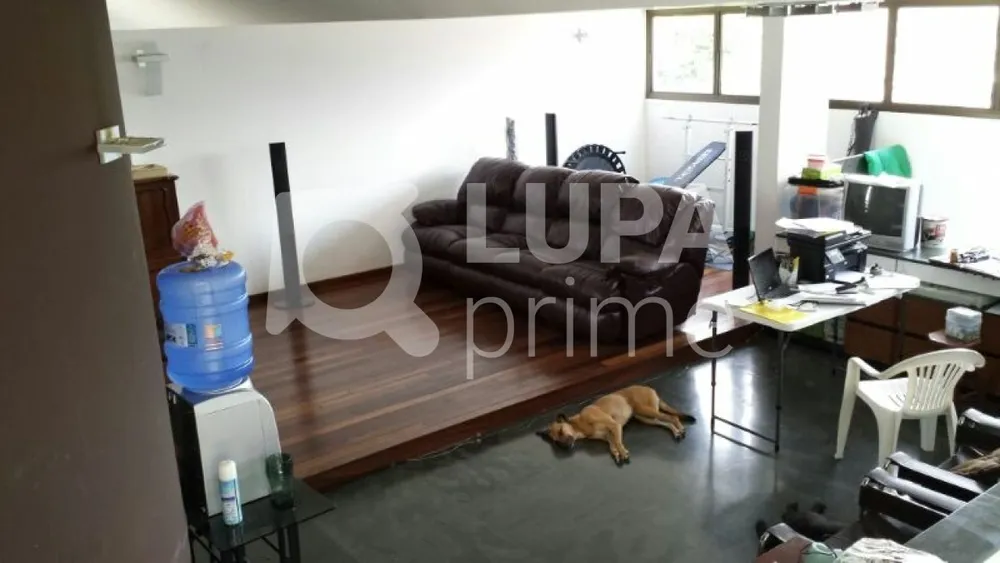Casa, 5 quartos, 326 m² - Foto 4