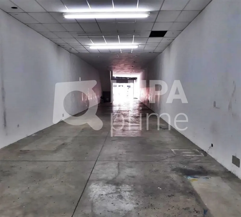 Depósito-Galpão, 548 m² - Foto 4