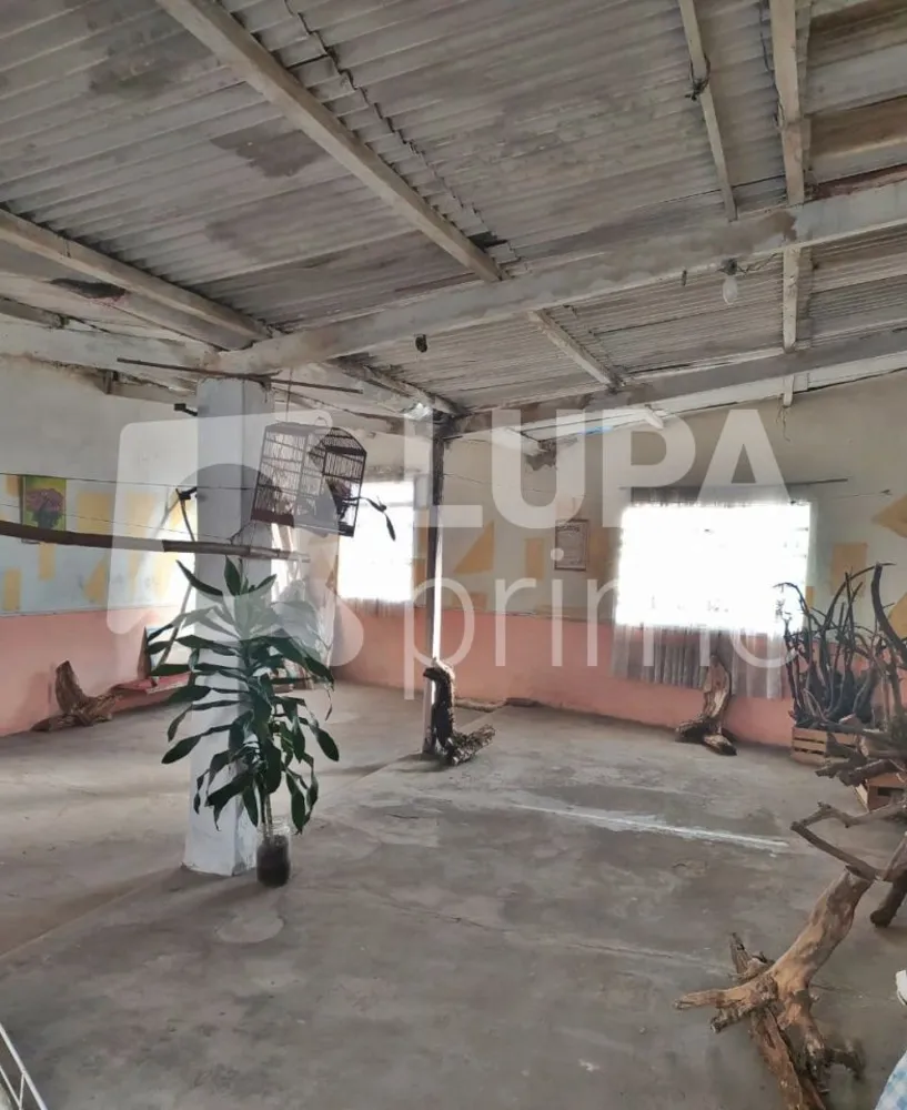 Casa, 3 quartos, 219 m² - Foto 7