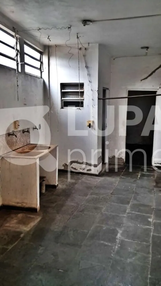 Casa, 4 quartos, 260 m² - Foto 5