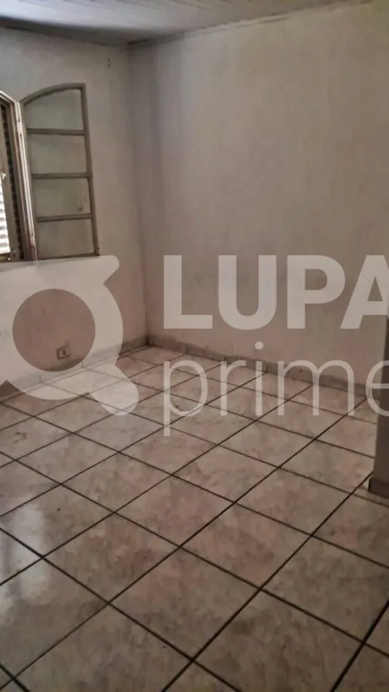 Casa, 4 quartos, 260 m² - Foto 9