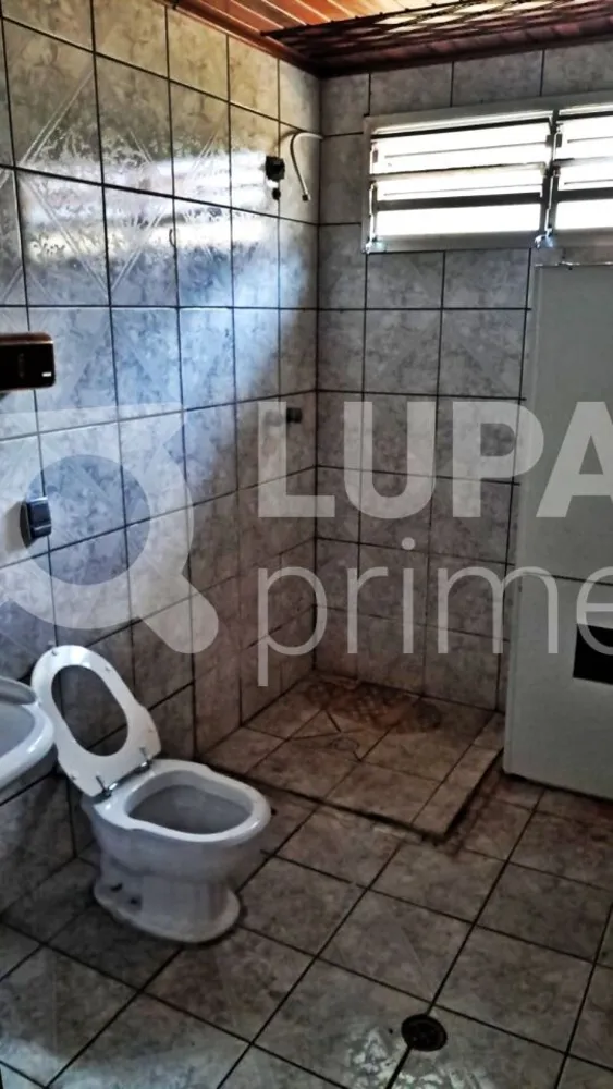 Casa, 4 quartos, 260 m² - Foto 11