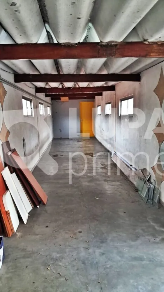 Casa, 4 quartos, 260 m² - Foto 6