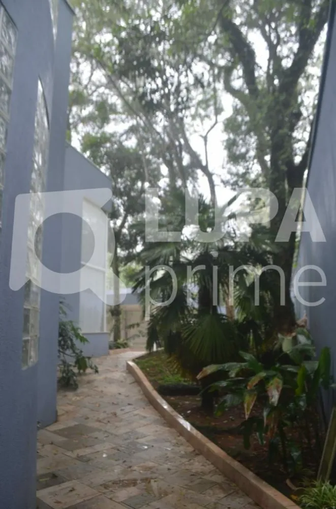 Casa, 4 quartos, 650 m² - Foto 12