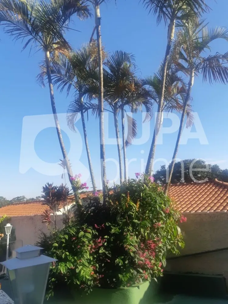 Casa, 5 quartos, 120 m² - Foto 3