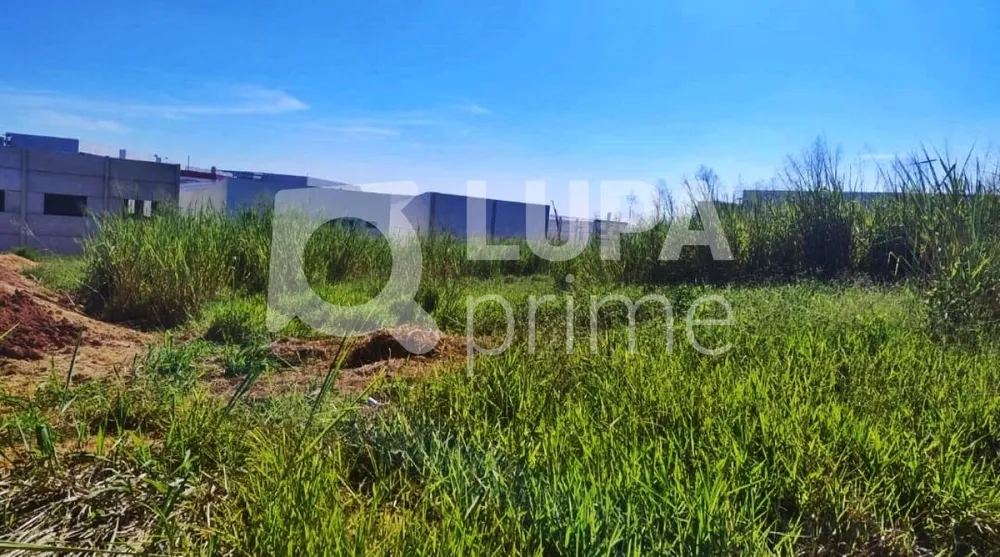 Terreno, 1000 m² - Foto 2