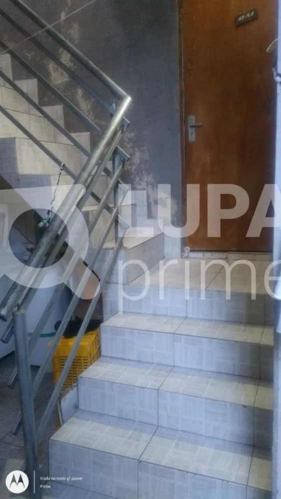 Casa, 6 quartos, 175 m² - Foto 4