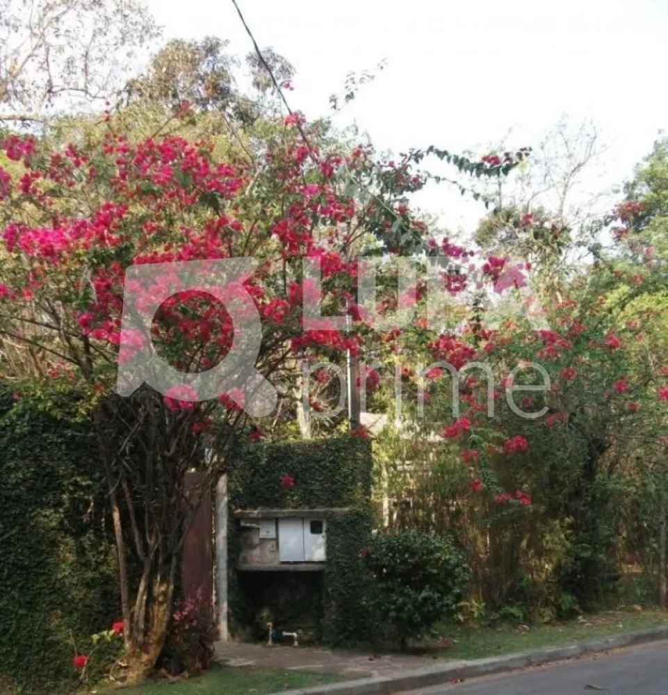 Casa, 4 quartos, 600 m² - Foto 6