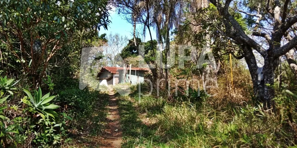 Terreno, 1040 m² - Foto 6