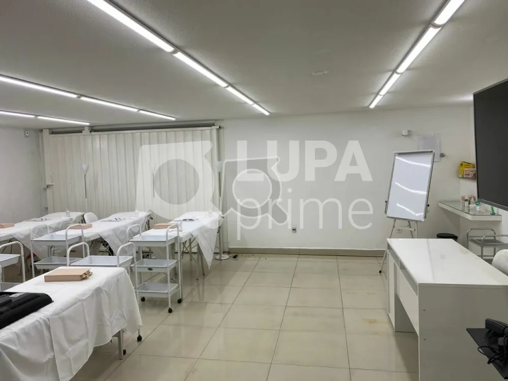Sala-Conjunto, 244 m² - Foto 1