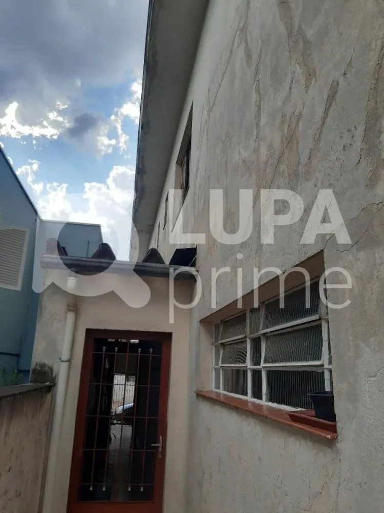 Casa, 4 quartos, 175 m² - Foto 5