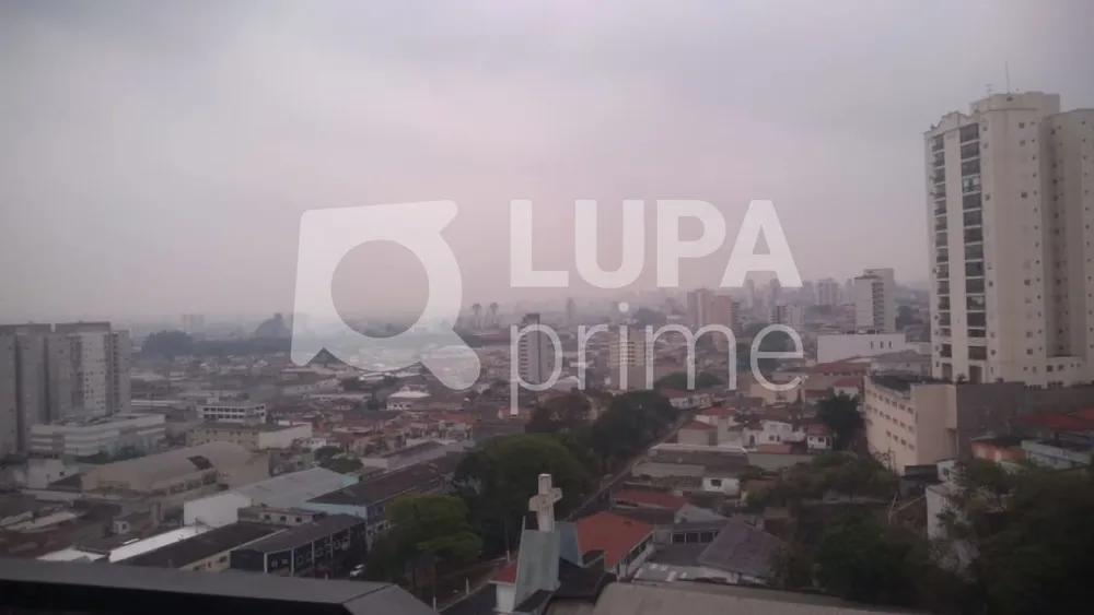 Apartamento, 4 quartos, 236 m² - Foto 13