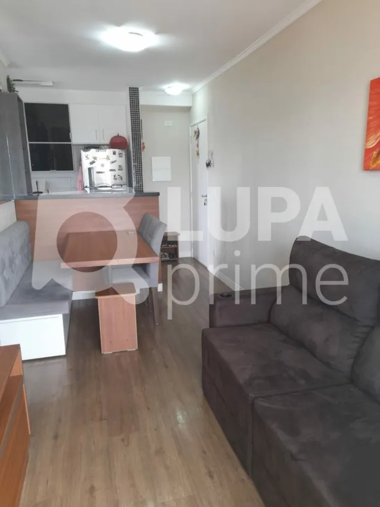 Apartamento, 3 quartos, 60 m² - Foto 3