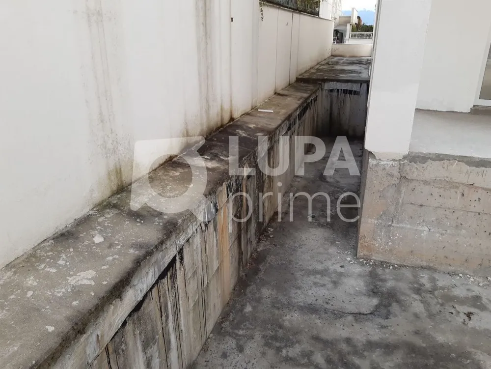 Casa, 4 quartos, 560 m² - Foto 4