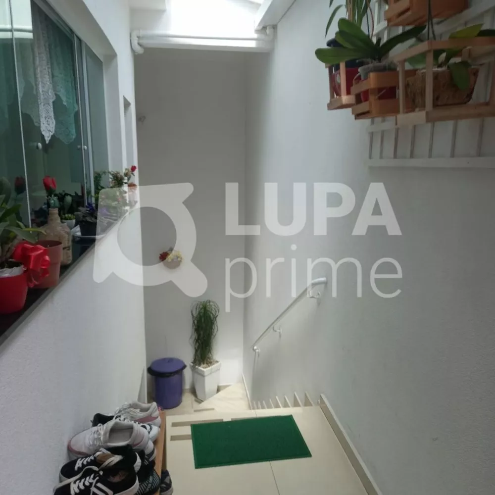 Casa, 3 quartos, 210 m² - Foto 6