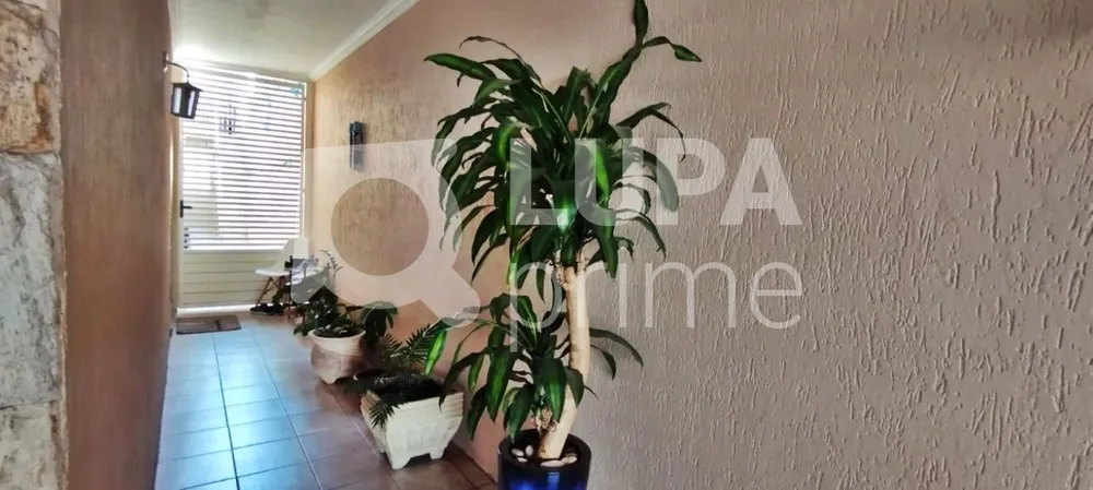 Casa, 3 quartos, 141 m² - Foto 13