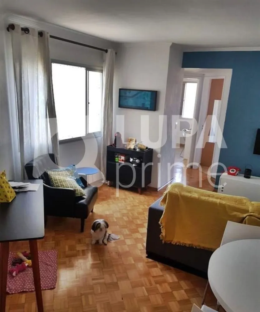 Apartamento, 2 quartos, 50 m² - Foto 1