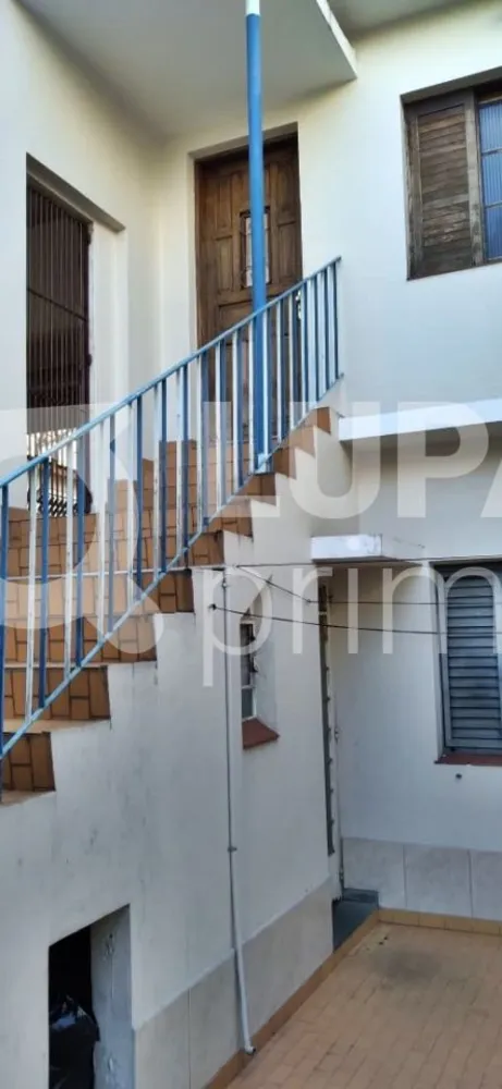 Casa, 6 quartos, 220 m² - Foto 4