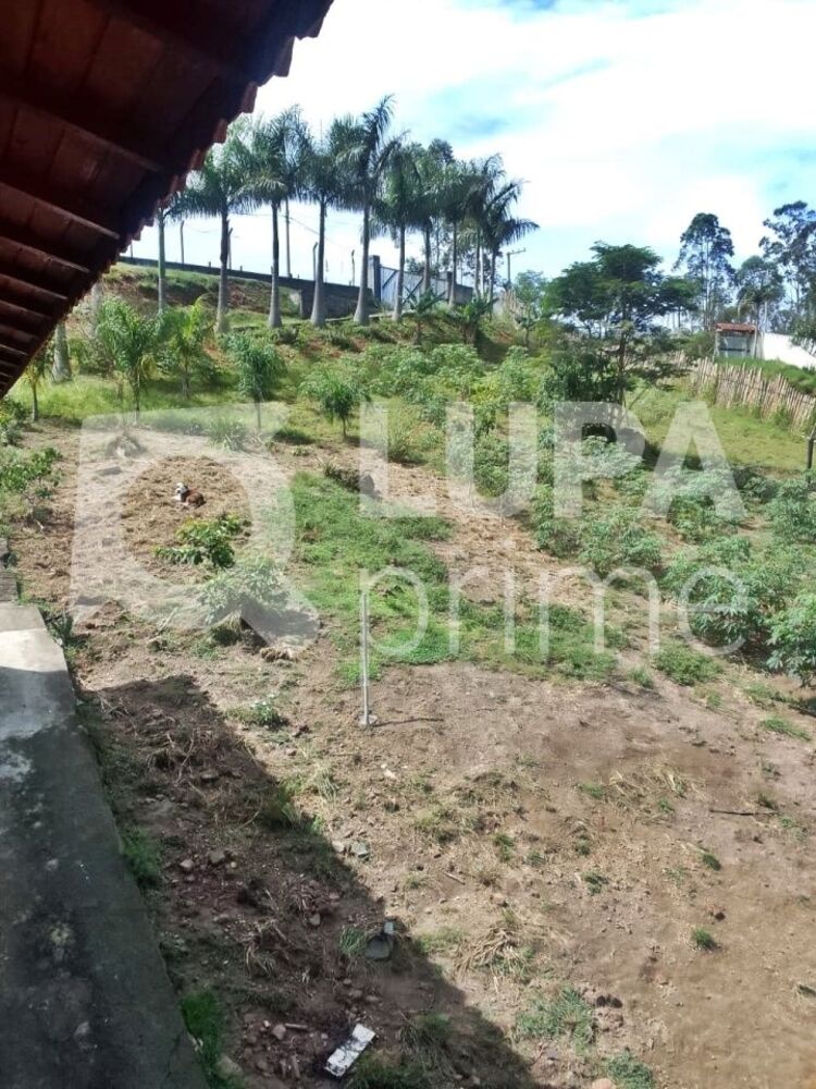 Terreno, 5000 m² - Foto 2