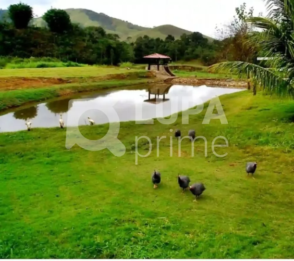 Fazenda à venda com 23 quartos, 1333100 - Foto 2