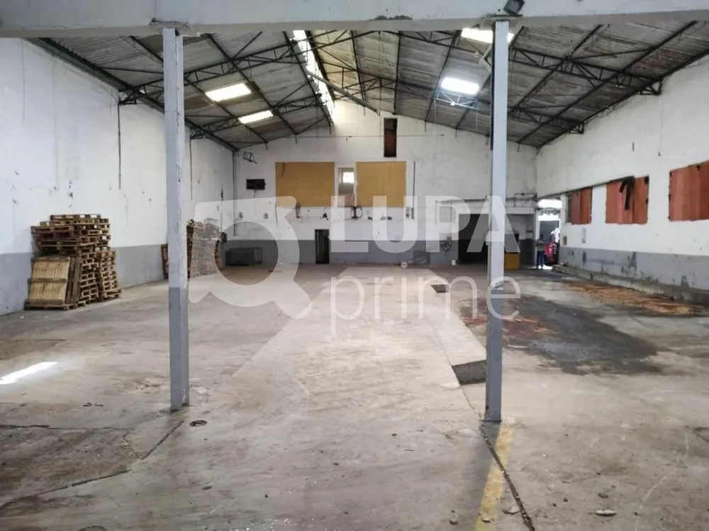 Depósito-Galpão, 1000 m² - Foto 3