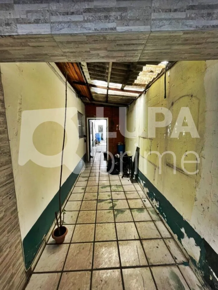 Casa, 3 quartos, 125 m² - Foto 12