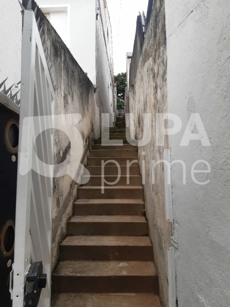 Casa, 6 quartos, 305 m² - Foto 14