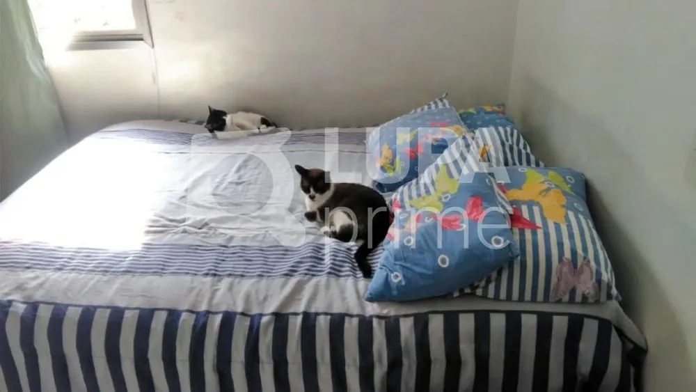 Apartamento, 2 quartos, 63 m² - Foto 3