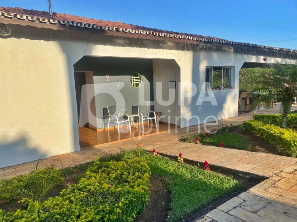 Chácara, 6 quartos, 10000 m² - Foto 9