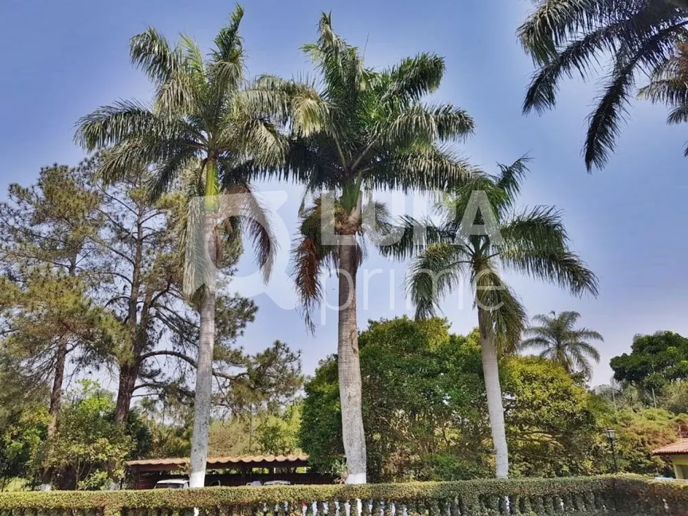 Chácara, 6 quartos, 10000 m² - Foto 12